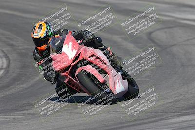 media/Nov-16-2025-Race Pace (Sun) [[8c5fa54630]]/Verified Riders/1-Turns 9 and 10 (925am)/